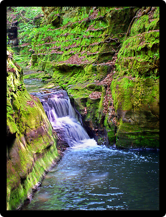 Pewits Nest State Natural Area near the Wisconsin Dells showcases a beautiful slot canyon with numerous cascades.