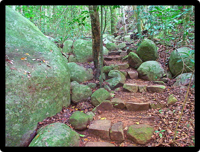 Giant boulders in the rainforest along the Secret Garden Walk on Fitzroy Island in Queensland Australia.