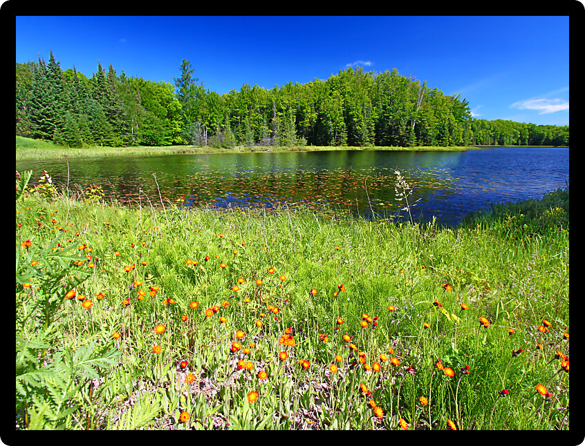 Lake landscape in the Northern Highland American Legion State Forest of Wisconsin.