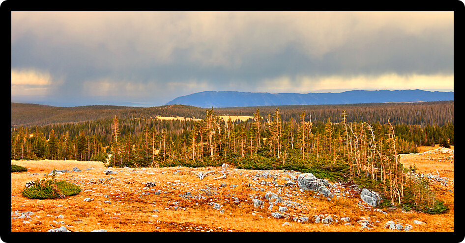 Rainclouds gather over the high altitude terrain of Medicine Bow National Forest of Wyoming.