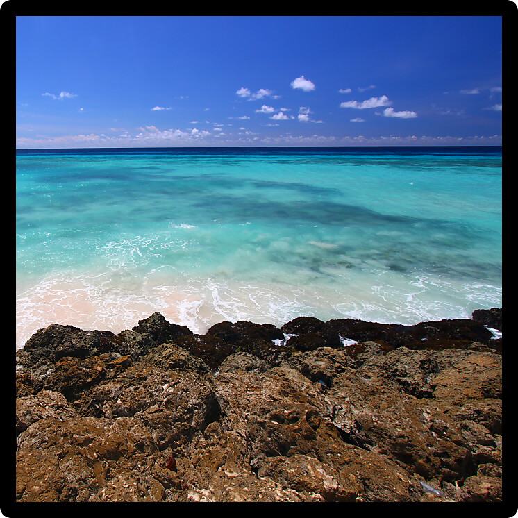 Vacation view of the Caribbean from the rocky coast of Barbados.