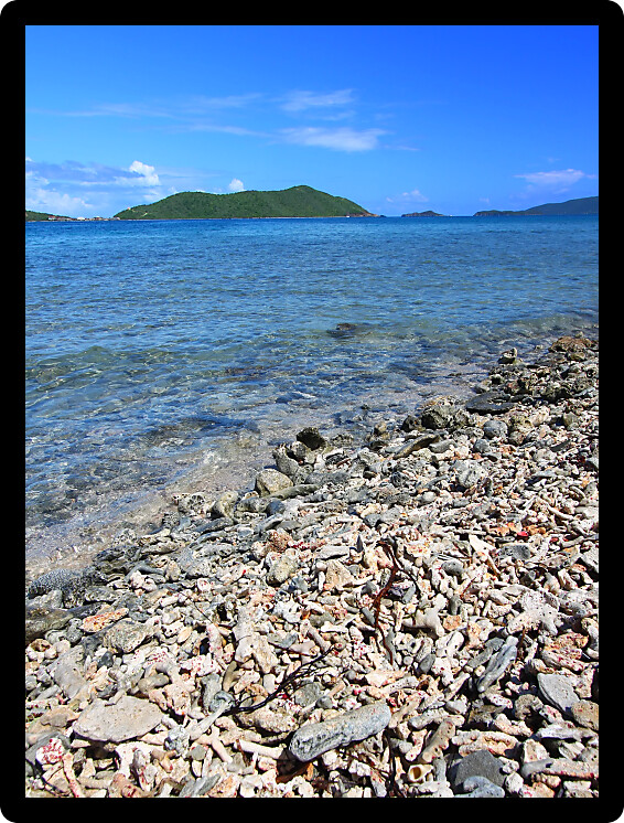 Tropical view of the Caribbean island Tortola in the British Virgin Islands.