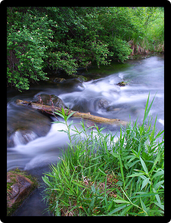 Calm cascade at Bluff Creek State Natural Area in southern Wisconsin.