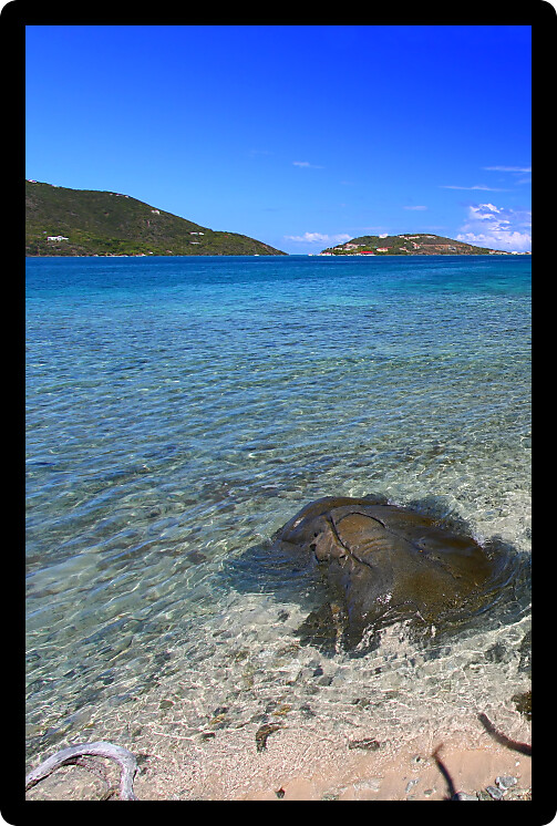 Scenic view of the British Virgin Islands in the Caribbean.