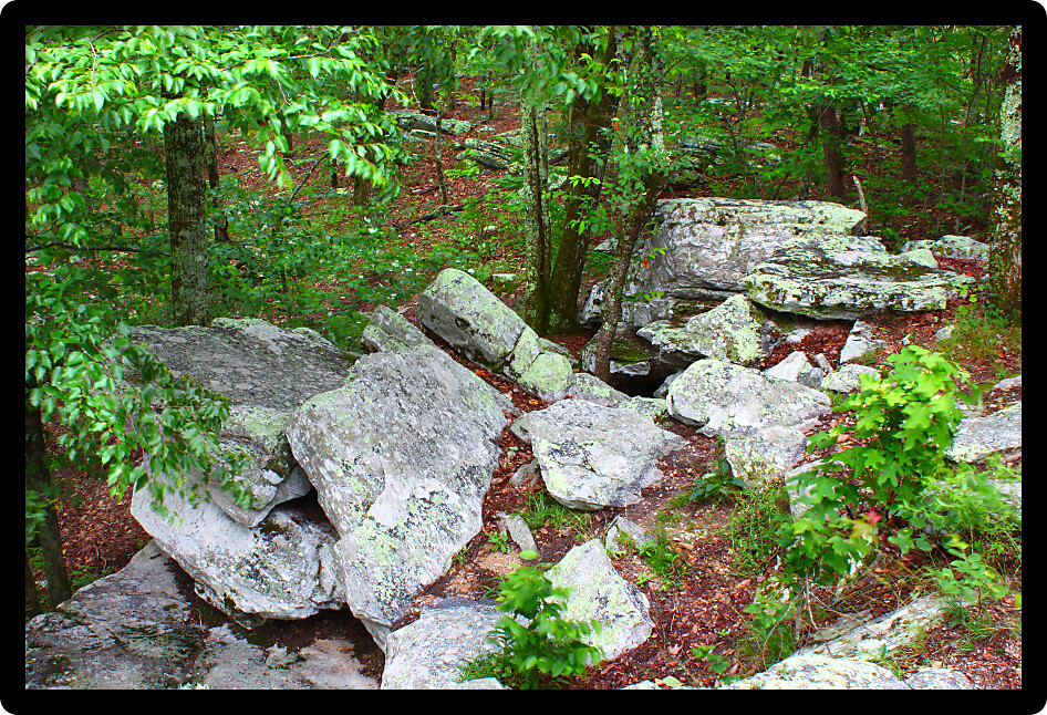 Rocks scatter the landscape at Cheaha State Park in Alabama.