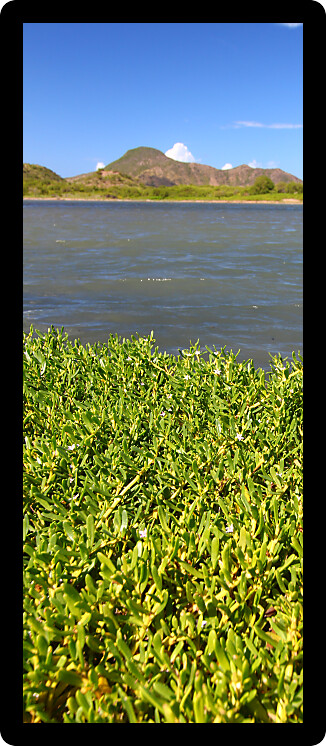 Lagoon at Majors Bay on the Caribbean island of Saint Kitts.