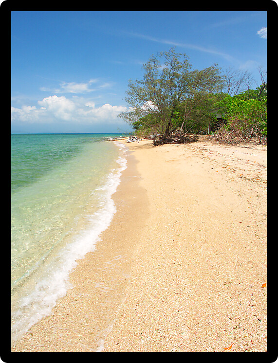 Tropical beach on the Low Isles in beautiful Queensland Australia.