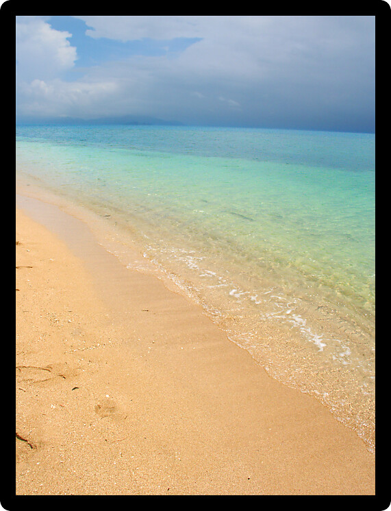 Tropical beach on the Low Isles in beautiful Queensland Australia.