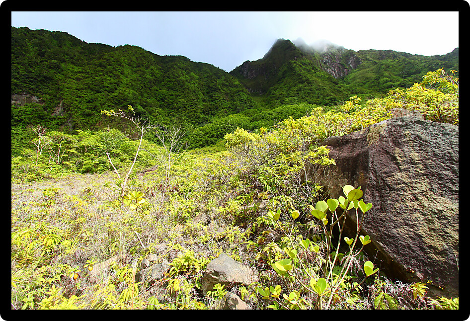View of Mount Liamuiga from the bottom of The Crater of Saint Kitts.
