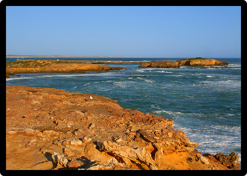 Rugged rocky coastline of southern Australia near Warrnambool in Victoria.