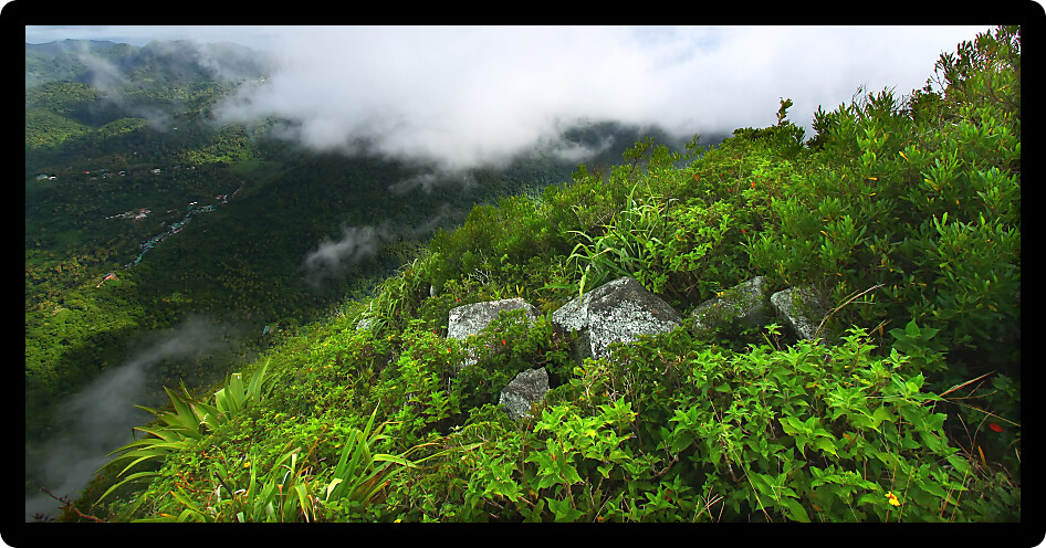 View of Saint Lucia from the cloud covered summit of the Petit Piton Saint Lucia.