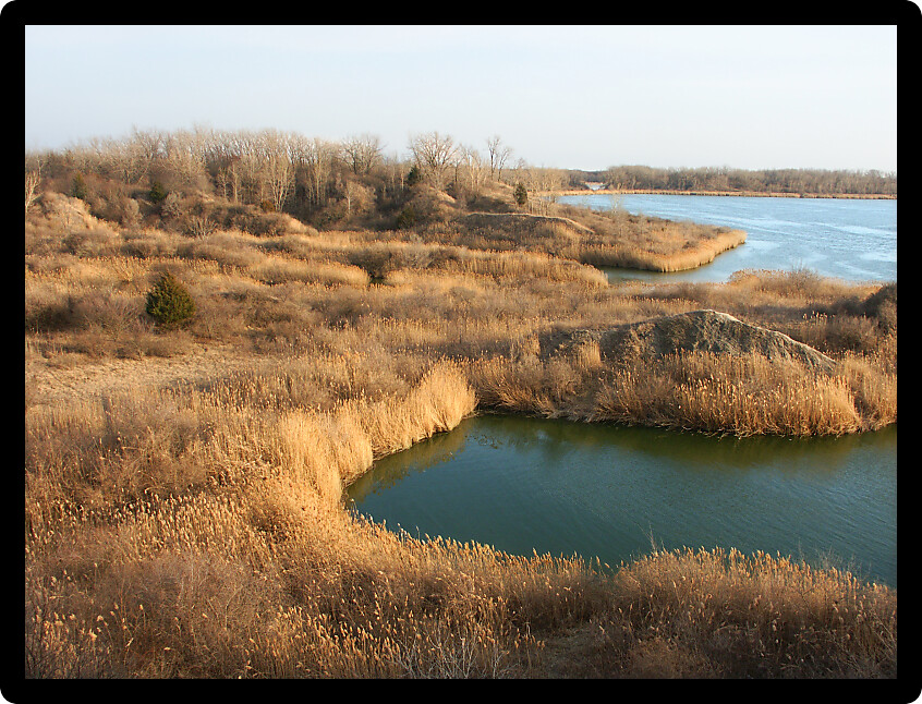 Mazonia-Braidwood State Fish and Wildlife Area in northern Illinois.