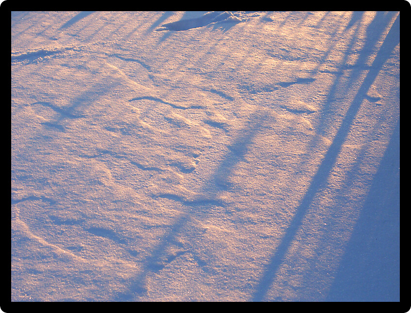 Morning light falls upon fresh snowfall on a chilly winter day.