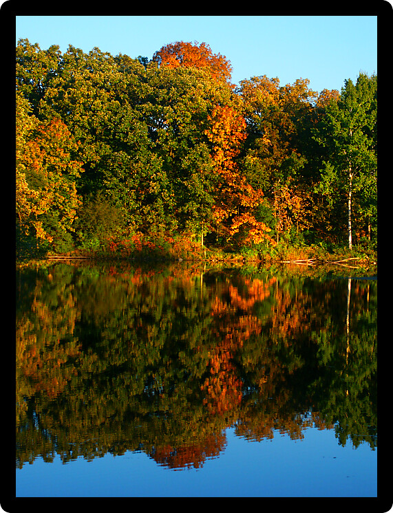 Beautiful fall colors reflect off a pond at Kettle Moraine State Forest in Wisconsin.