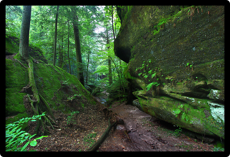 Beautiful secluded canyon northern Alabama.