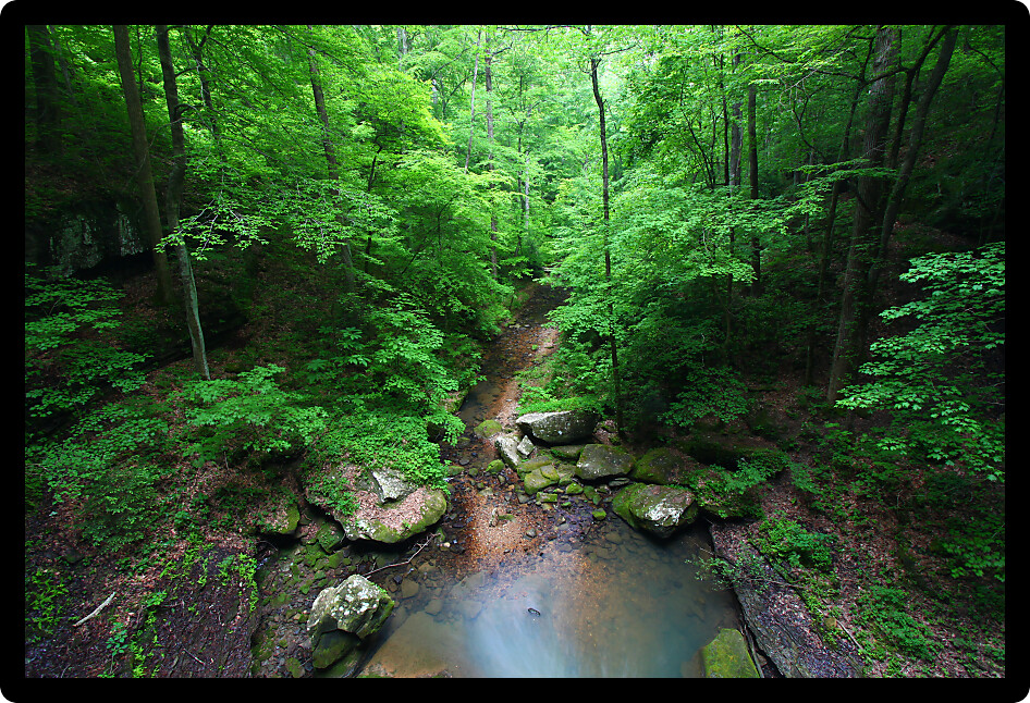 Small creek flows through a deep gorge of Alabama.