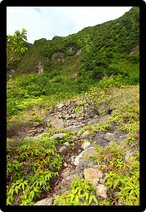 View of the landscape from the bottom of The Crater of Saint Kitts.