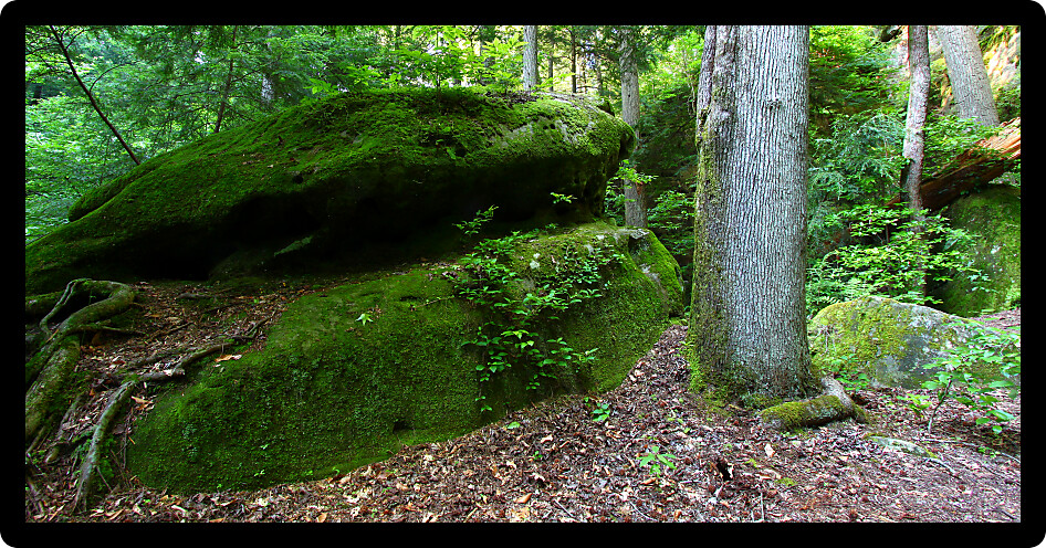 Giant boulder sits firmly in a canyon of northern Alabama.