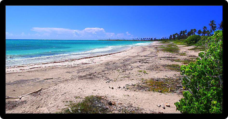 Beautiful Caribbean day at the beach of Guanica Reserve in Puerto Rico.