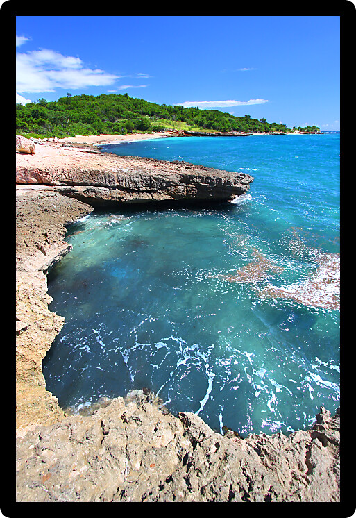 Caribbean coastline at Guanica Dry Forest Reserve in Puerto Rico.