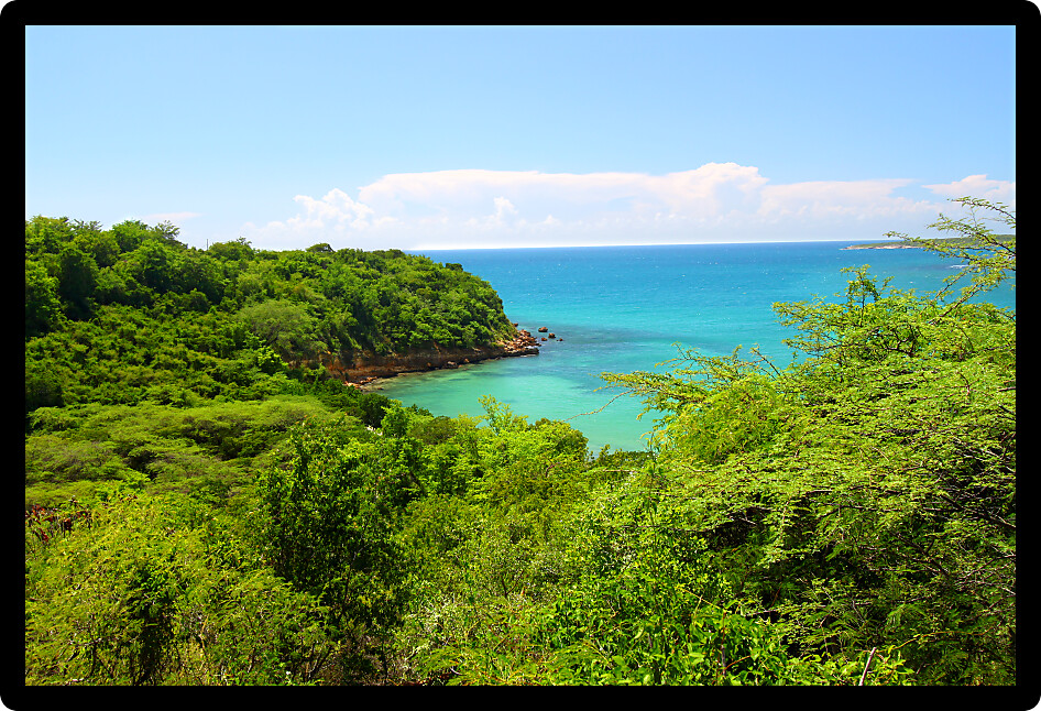 Caribbean coastline at Guanica Dry Forest Reserve in Puerto Rico.