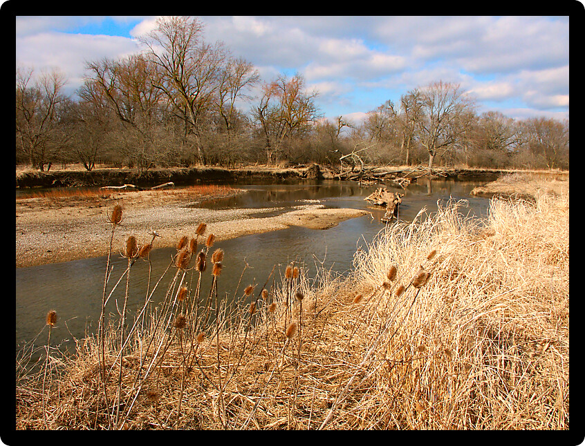 Kishwaukee River winds through northern Illinois on a sunny day.