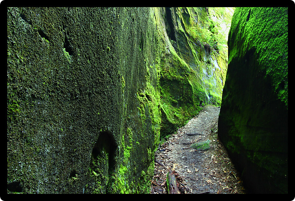 Mossy narrow corridor through giant rocks in Alabama.