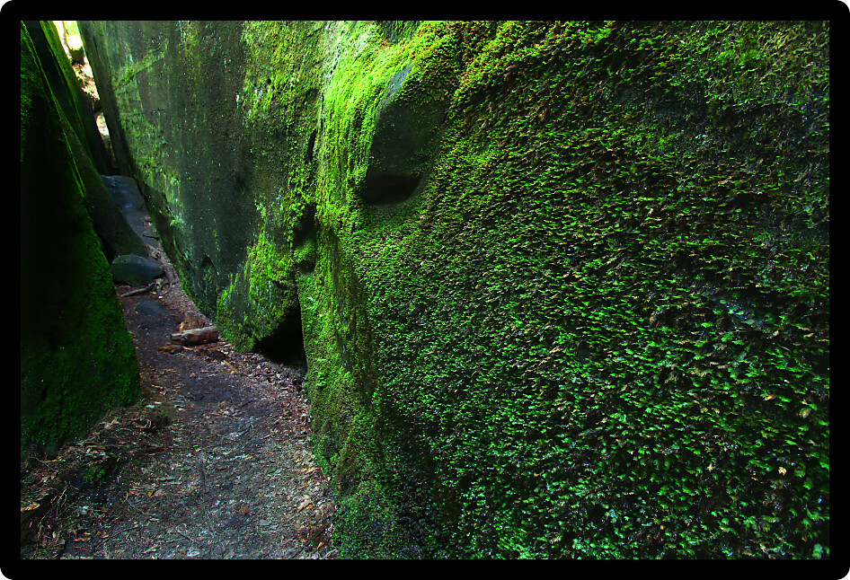 Mossy narrow corridor through giant rocks in Alabama.