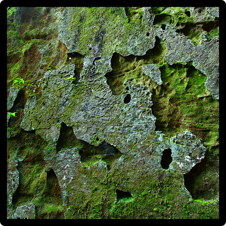 Seemingly ancient moss covered rock wall in northern Alabama.