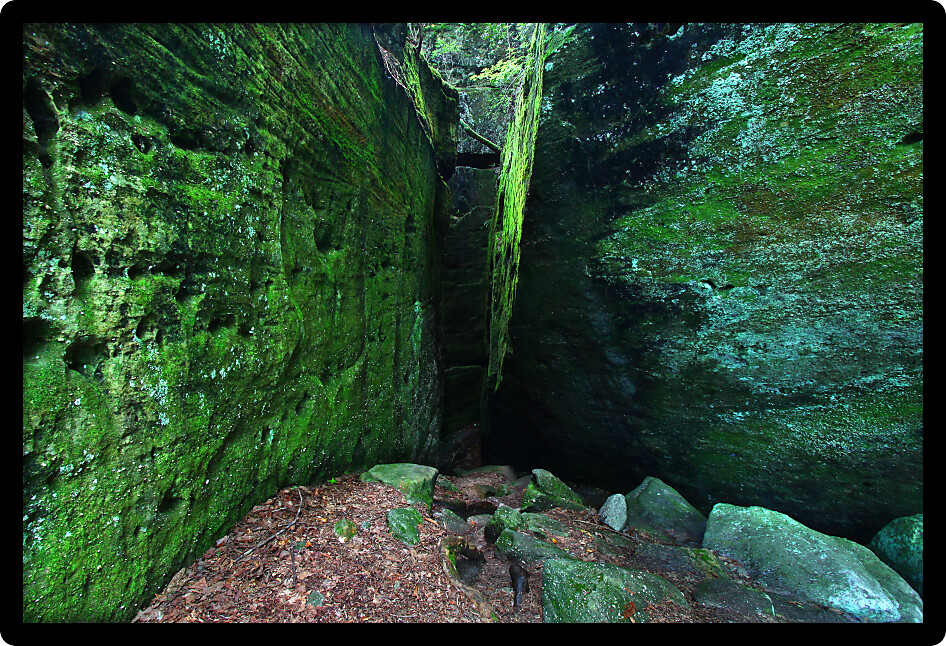 Seemingly ancient moss covered rock wall in northern Alabama.