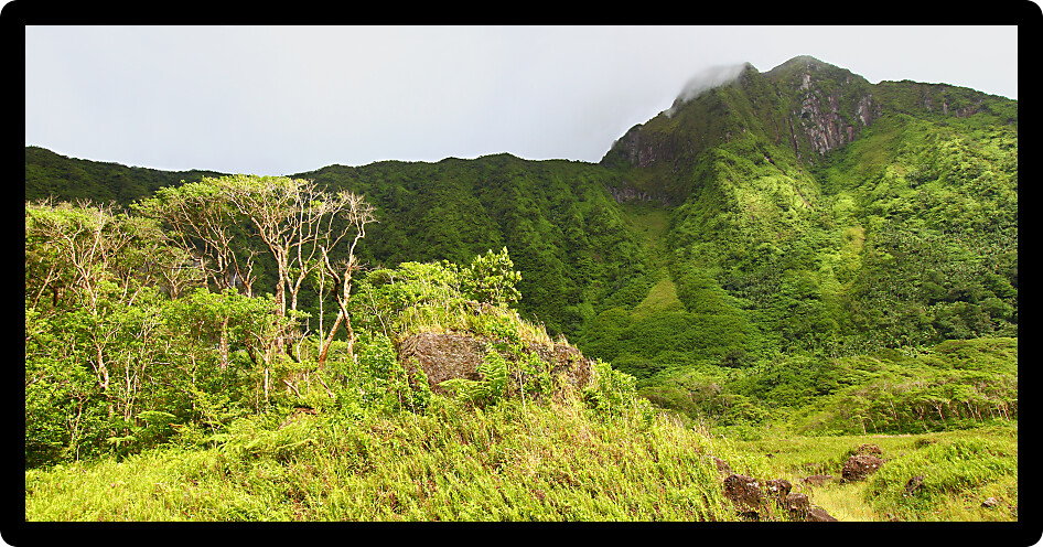 View of Mount Liamuiga from the bottom of The Crater of Saint Kitts.