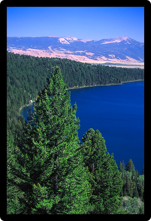 Spectacular view of Phelps Lake in Grand Teton National Park in Wyoming.