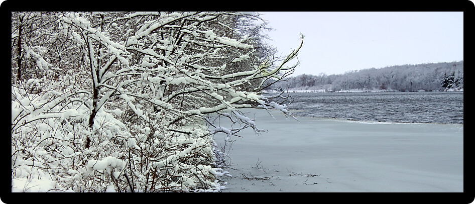 Freshly fallen snow on Pierce Lake at Rock Cut State Park in Illinois.