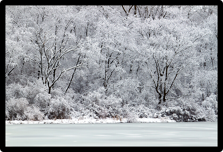 Freshly fallen snow on Pierce Lake at Rock Cut State Park in Illinois.