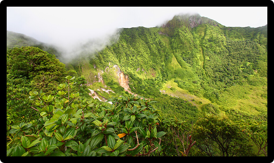 The Crater below cloud covered Mount Liamuiga on Saint Kitts.