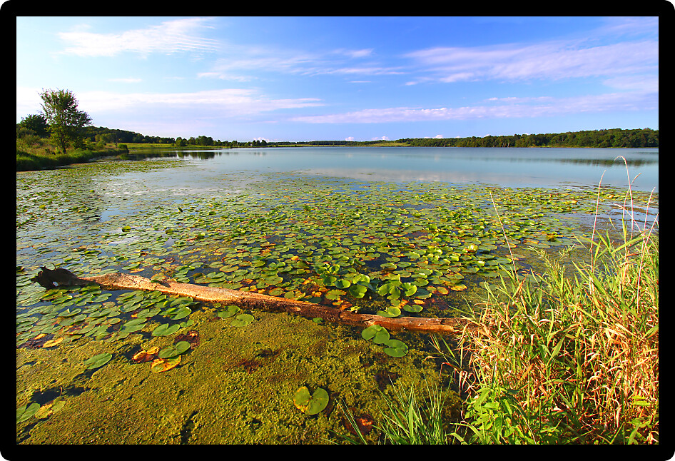 View of beautiful Shabbona Lake in northern Illinois.