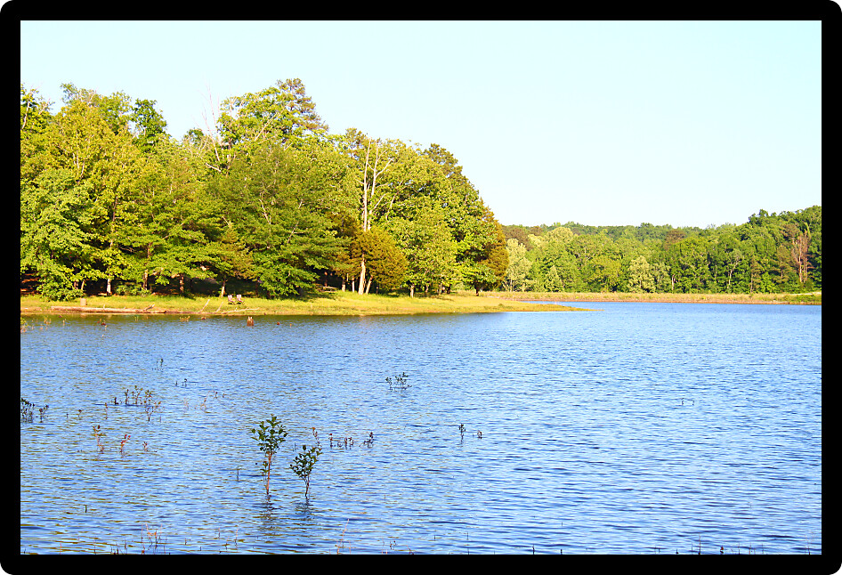 Haynes Lake at Tishomingo State Park in northern Mississippi.