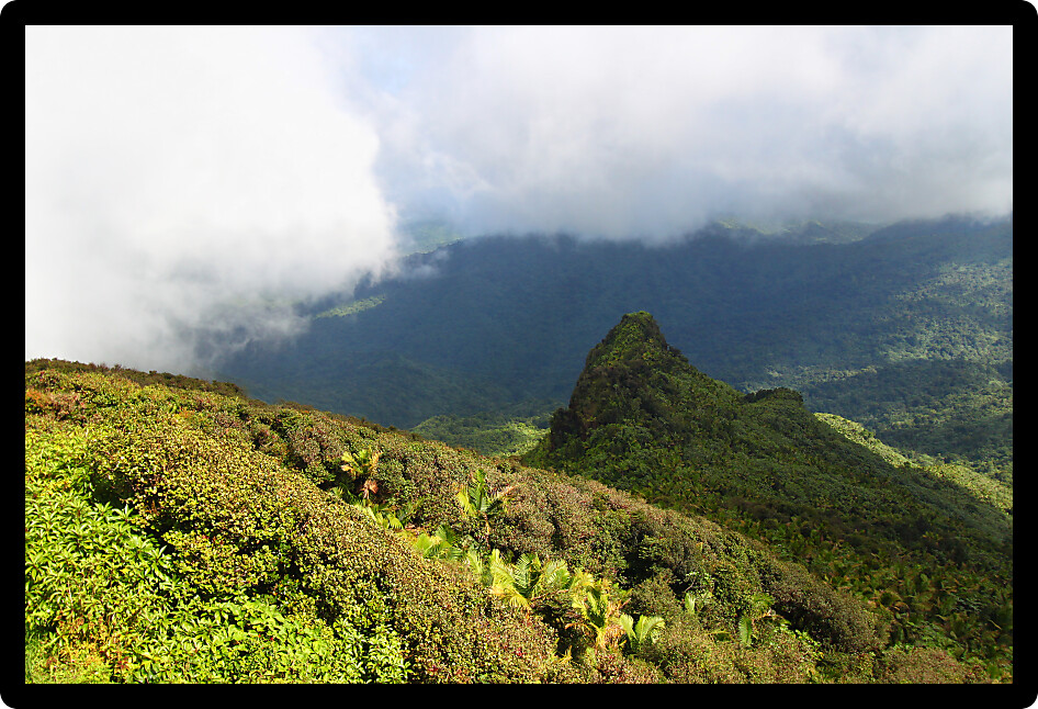 Mist covers the rainforest peaks of El Yunque National Forest in Puerto Rico.