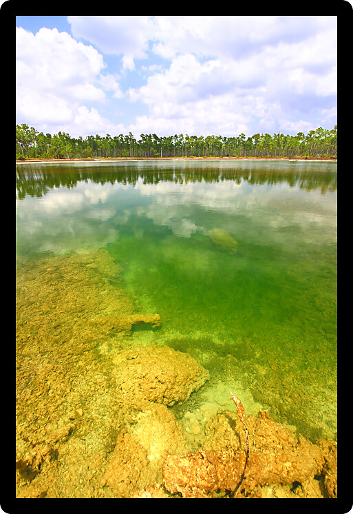 Scenic view of a lake in the Everglades National Park USA.