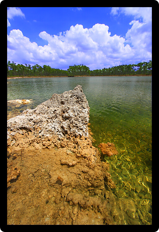 Scenic view of a lake in the Everglades National Park USA.