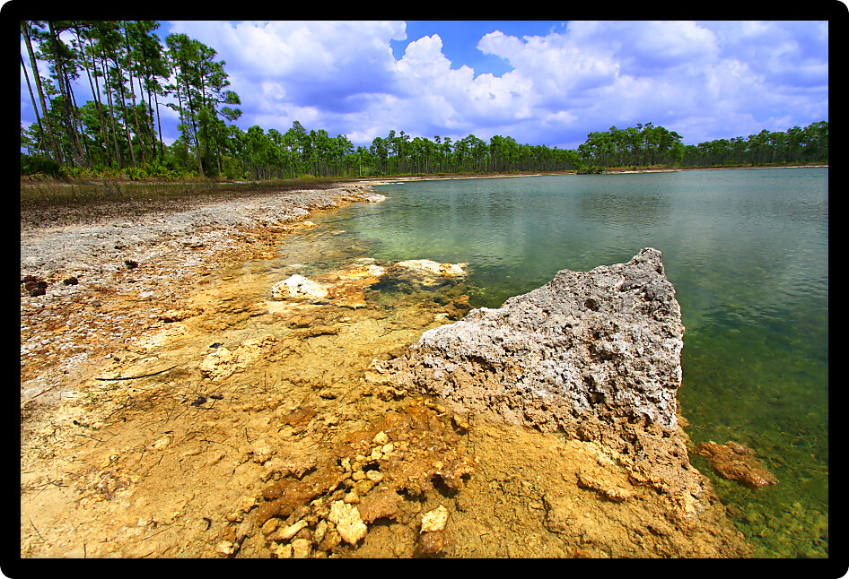 Scenic view of a lake in the Everglades National Park USA.