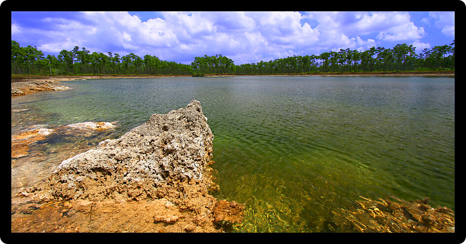 Scenic view of a lake in the Everglades National Park USA.