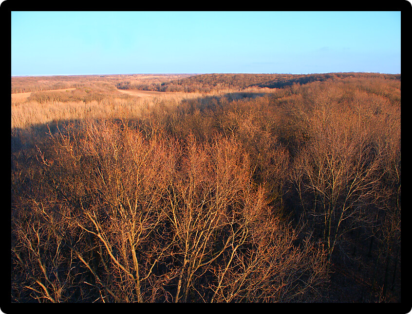 View of the landscape at Forest Glen Nature Preserve in Illinois.