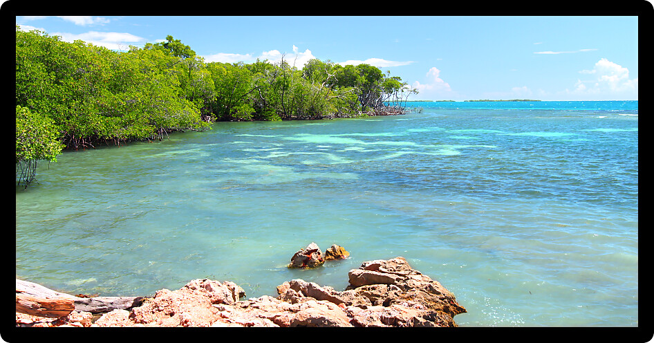 Caribbean coastline at Guanica Dry Forest Reserve in Puerto Rico.