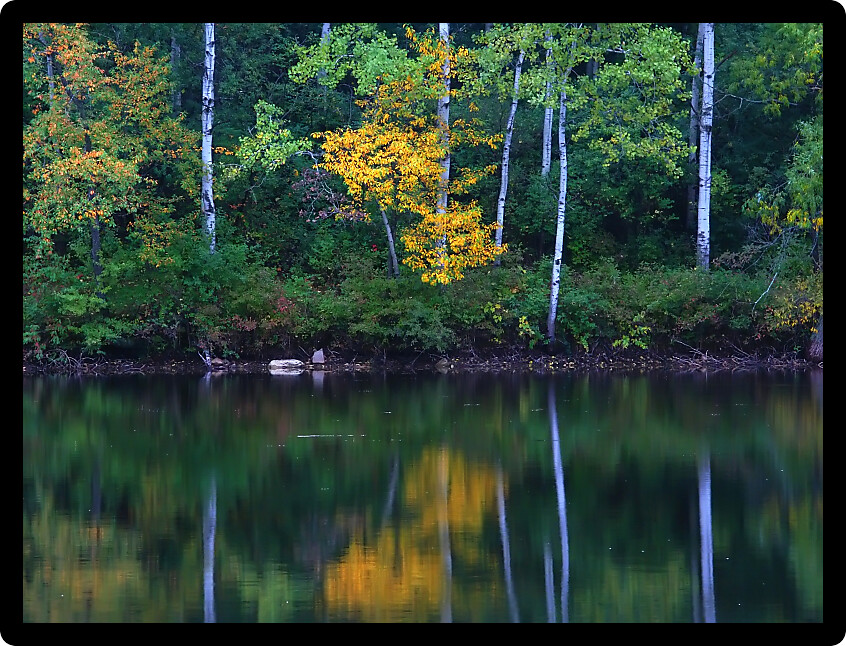 Beautiful colors reflect off a pond at Kettle Moraine State Forest in Wisconsin.