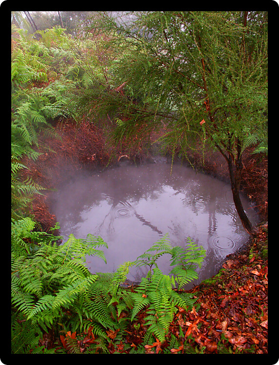 Beautiful hot spring at Kuirau Park in Rotorua New Zealand.