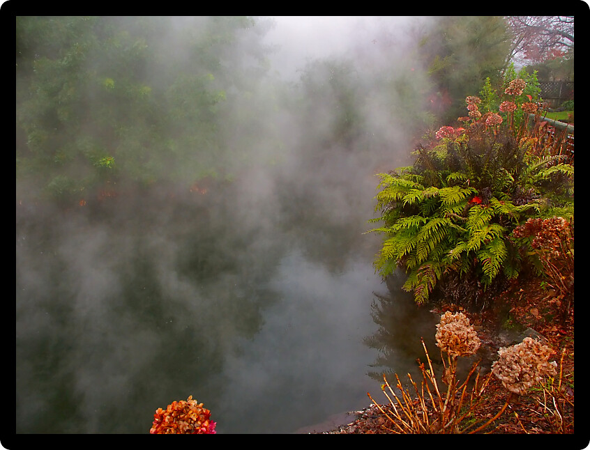 Hot spring at Kuirau Park in Rotorua New Zealand.
