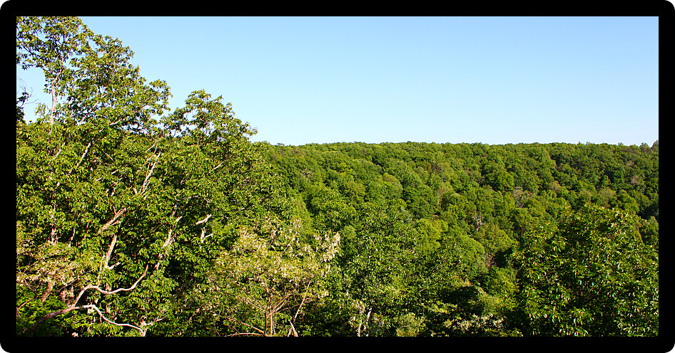 Forested land environment of Monte Sano State Park in Alabama.