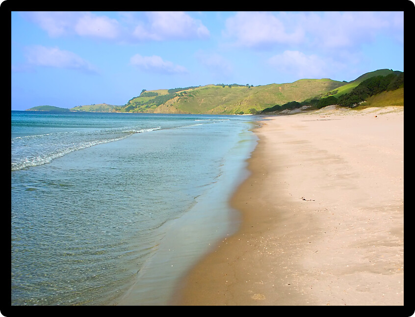 Beautiful sandy beach along the coast of Northland in New Zealand