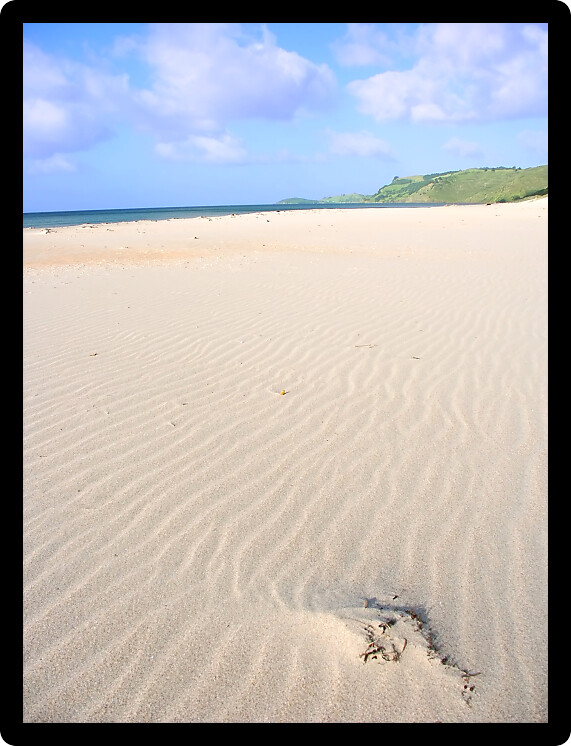 Patterns in the sand along the coast of beautiful New Zealand